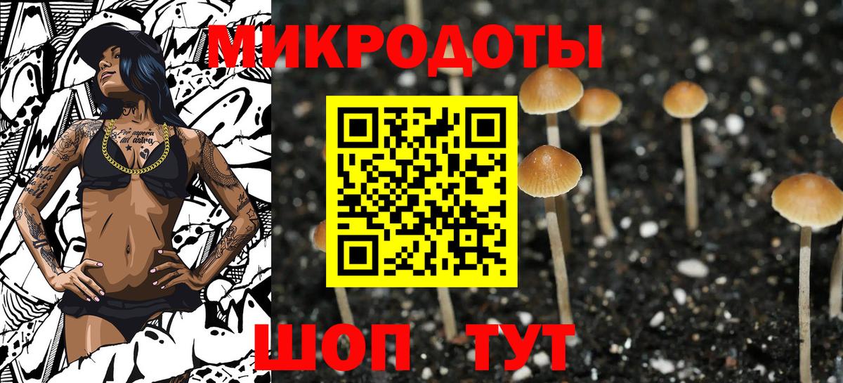 Галлюциногенные грибы Cubensis  Вход с VPN  Югорск 