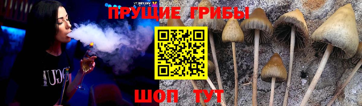 Псилоцибиновые грибы мицелий Югорск